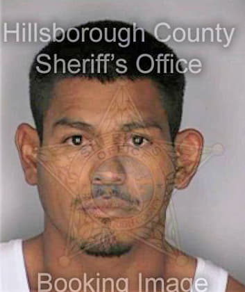 Rodriguez Enrique - Hillsborough County, FL 