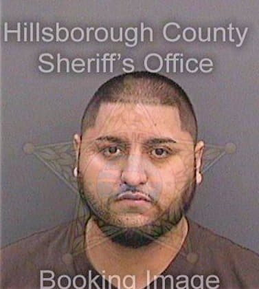 Eguia Anthony - Hillsborough County, FL 