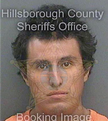 Martinezluna Enrique - Hillsborough County, FL 