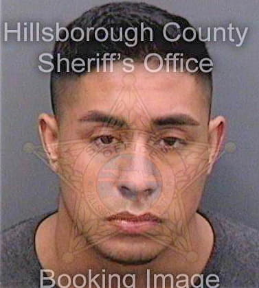 Deras Pedro - Hillsborough County, FL 