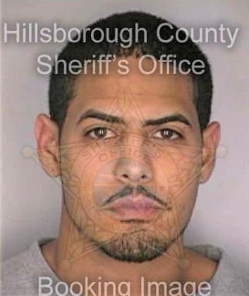 Borrero Pedro - Hillsborough County, FL 