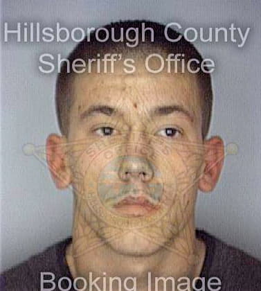 David Ryan - Hillsborough County, FL 