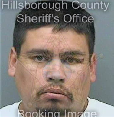 Perez Antonio - Hillsborough County, FL 