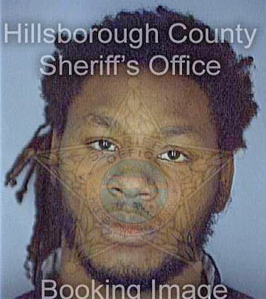 Ferguson Henry - Hillsborough County, FL 