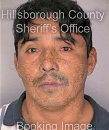 Lopes Mendoza - Hillsborough County, FL 