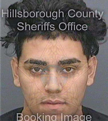 Jaramillotorres Julian - Hillsborough County, FL 