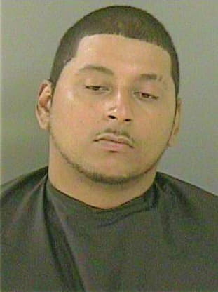 Hernandez Miguel - IndianRiver County, FL 