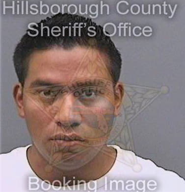 Salascastanon Sergio - Hillsborough County, FL 