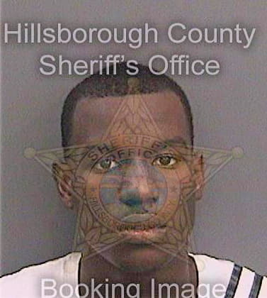 Johnson Christopher - Hillsborough County, FL 