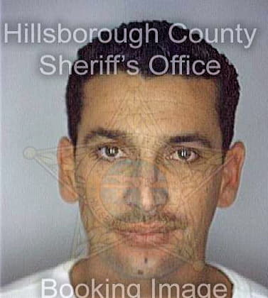 Gonzalezrodriguez Jorge - Hillsborough County, FL 