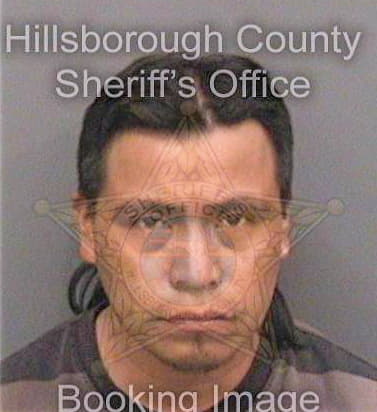 Verdugoperez Miguel - Hillsborough County, FL 