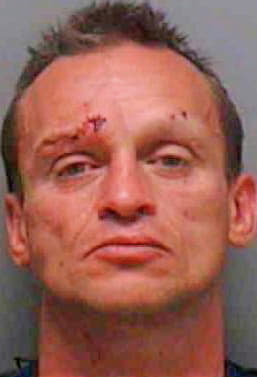 Silveira Paul - Lee County, FL 
