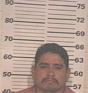 Hernandez Gerardo - Hidalgo County, TX 