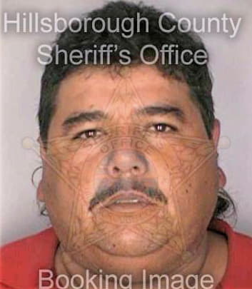 Trevino Roberto - Hillsborough County, FL 