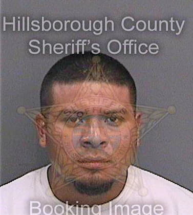 Diazcristobal Rogelio - Hillsborough County, FL 