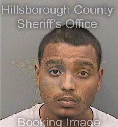 Smith Nicholas - Hillsborough County, FL 