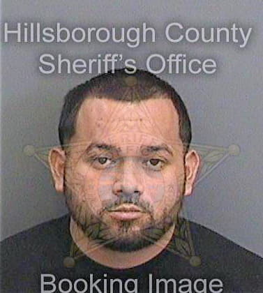 Coronagonzalez Henry - Hillsborough County, FL 