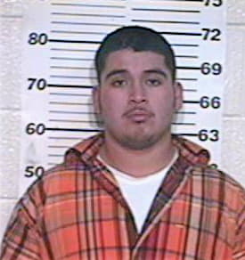 Hernandez Jesse - Hidalgo County, TX 