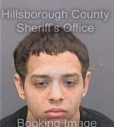 Blanco Lewis - Hillsborough County, FL 