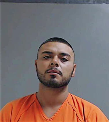 Alvarez Horacio - Hidalgo County, TX 