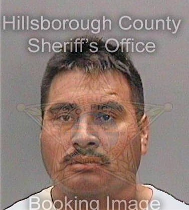 Martin Jose - Hillsborough County, FL 