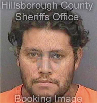 Garcia Gerardo - Hillsborough County, FL 