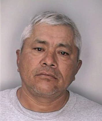 Renteria Silbano - Hillsborough County, FL 