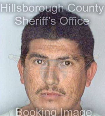 Lopez Eusebio - Hillsborough County, FL 