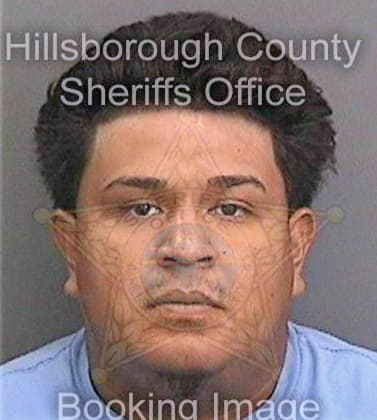 Trevino Antonio - Hillsborough County, FL 