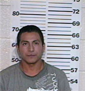 Garcia Luis - Hidalgo County, TX 