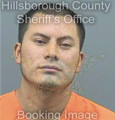 Perezvasquez Samuel - Hillsborough County, FL 