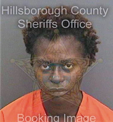 Holder Shavivian - Hillsborough County, FL 