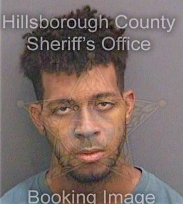 Reynolds Anthony - Hillsborough County, FL 