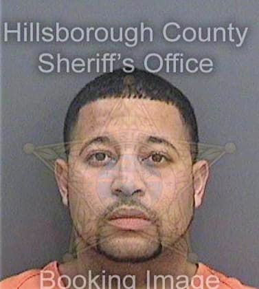 Stroud Bradley - Hillsborough County, FL 