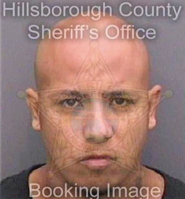 Lugo Ismael - Hillsborough County, FL 