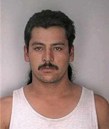 Martinez Juan - Hillsborough County, FL 