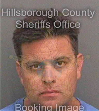 Dickman David - Hillsborough County, FL 