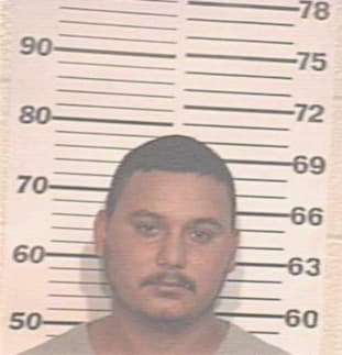 Hernandez Florencio - Hidalgo County, TX 