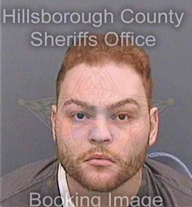 Hernandez Steven - Hillsborough County, FL 