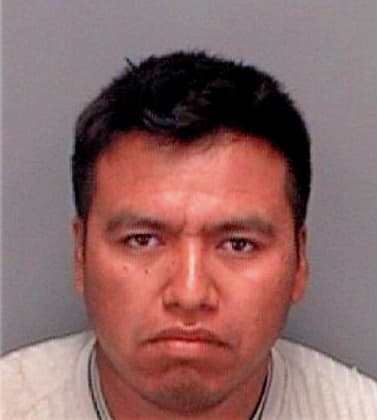 Marcial Jaimie - Pinellas County, FL 