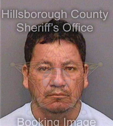 Hernandez Epifanio - Hillsborough County, FL 