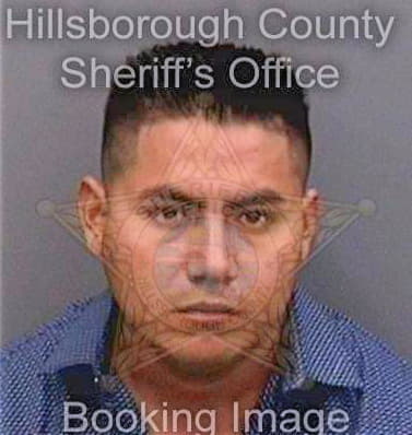 Doroteocruz Cristian - Hillsborough County, FL 