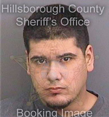 Davila Erick - Hillsborough County, FL 