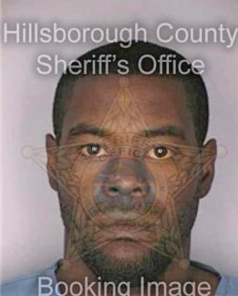 Simpson Michael - Hillsborough County, FL 