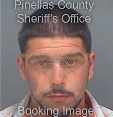 Lofrisco Anthony - Pinellas County, FL 