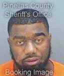 Davis James - Pinellas County, FL 