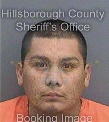 Garcia Pedro - Hillsborough County, FL 