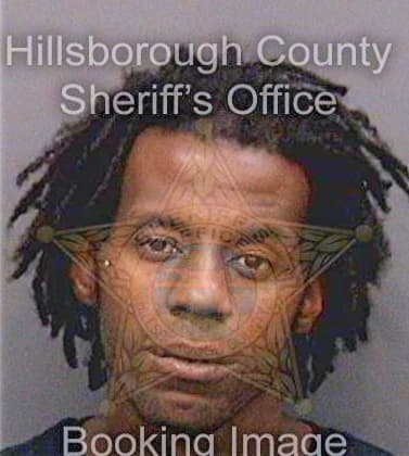 Johnson Alfonso - Hillsborough County, FL 