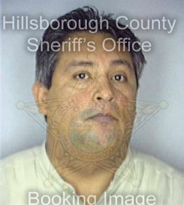 Linarte Eladio - Hillsborough County, FL 