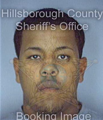 Delgado Victor - Hillsborough County, FL 